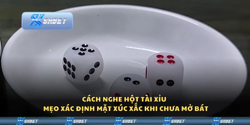 Cách nghe hột Tài Xỉu – Mẹo xác định mặt xúc xắc khi chưa mở bát